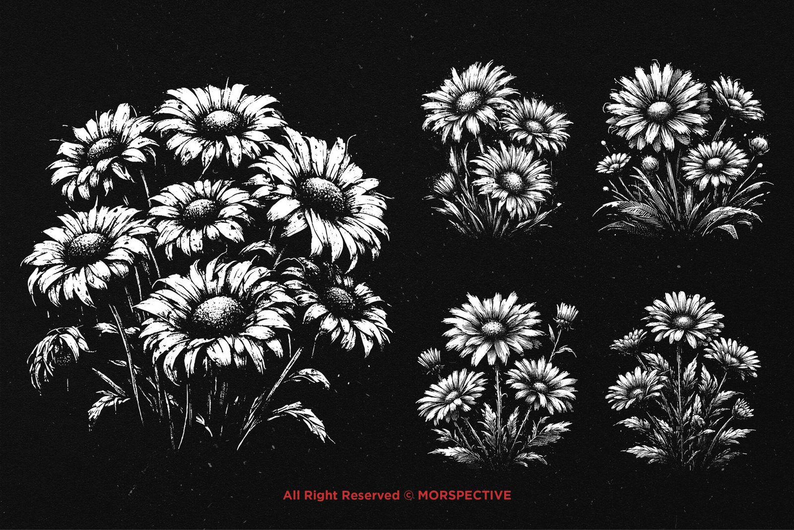 10 Bundle Dark Art Daisy Flower 4 10 Bundle Dark Art Daisy Flower - Image 4