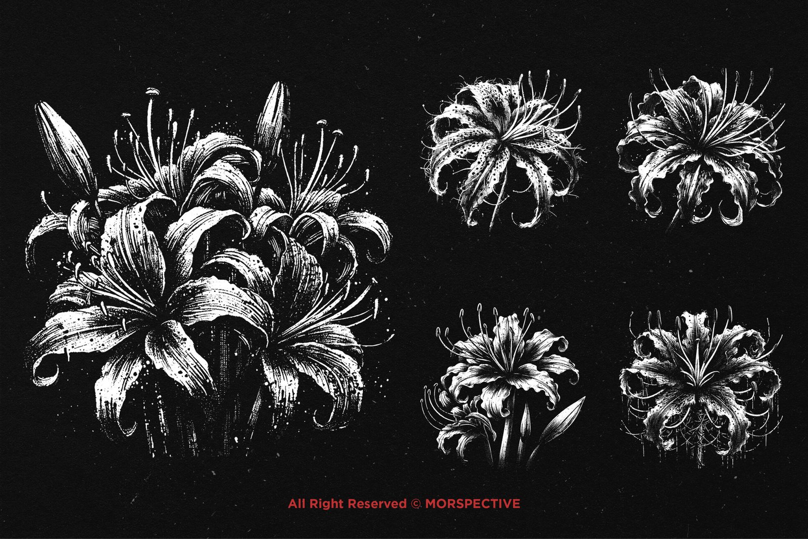 10 Bundle Dark Art Spider Lily Flower 4 10 Bundle Dark Art Spider Lily Flower - Image 4