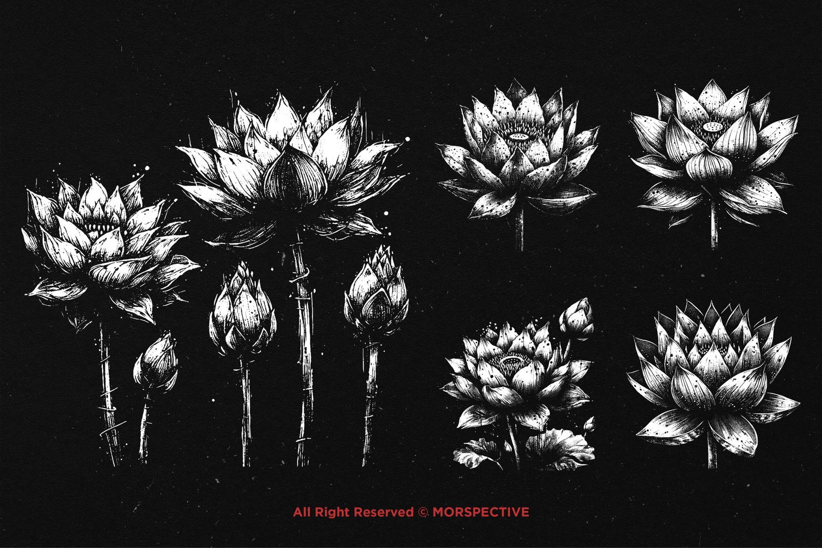 10 Bundle Dark Art Lotus Flower 4 10 Bundle Dark Art Lotus Flower - Image 4