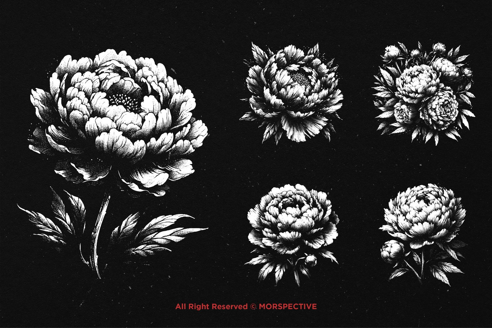 10 Bundle Dark Art Peony Flower 4 10 Bundle Dark Art Peony Flower - Image 4