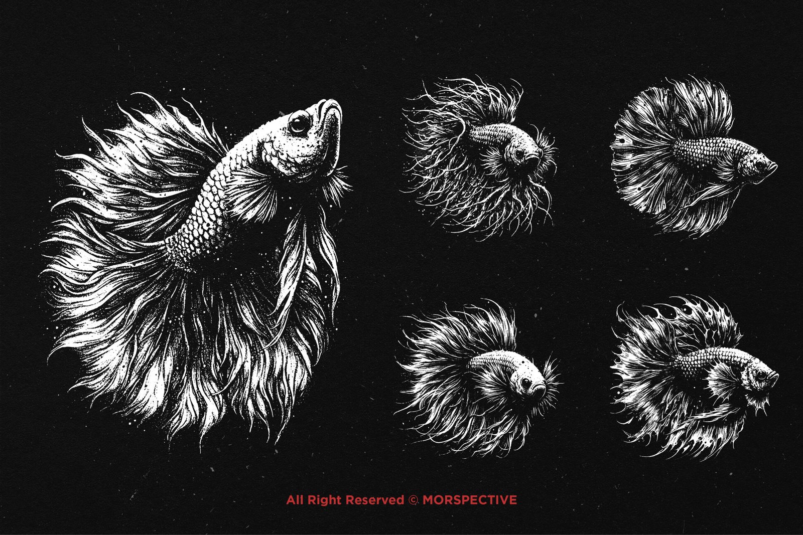 10 Bundle Dark Art Betta Fish 4 10 Bundle Dark Art Betta Fish - Image 4