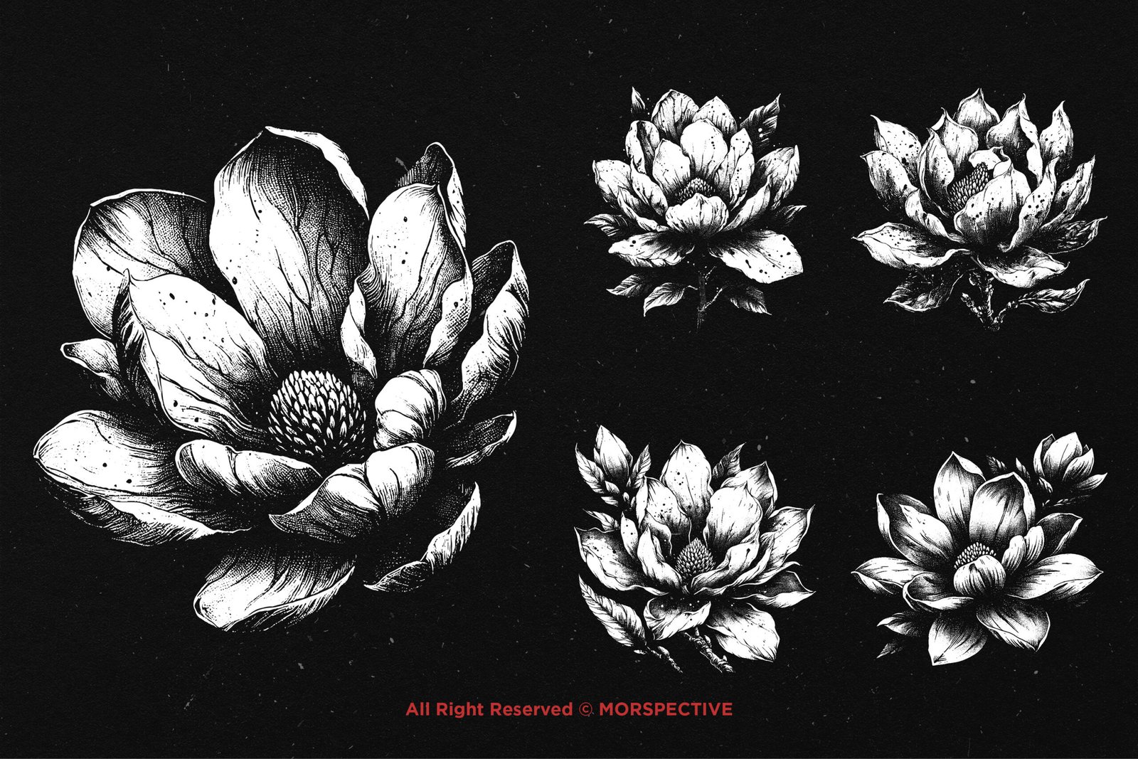 10 Bundle Dark Art Magnolia Flower 4 10 Bundle Dark Art Magnolia Flower - Image 4
