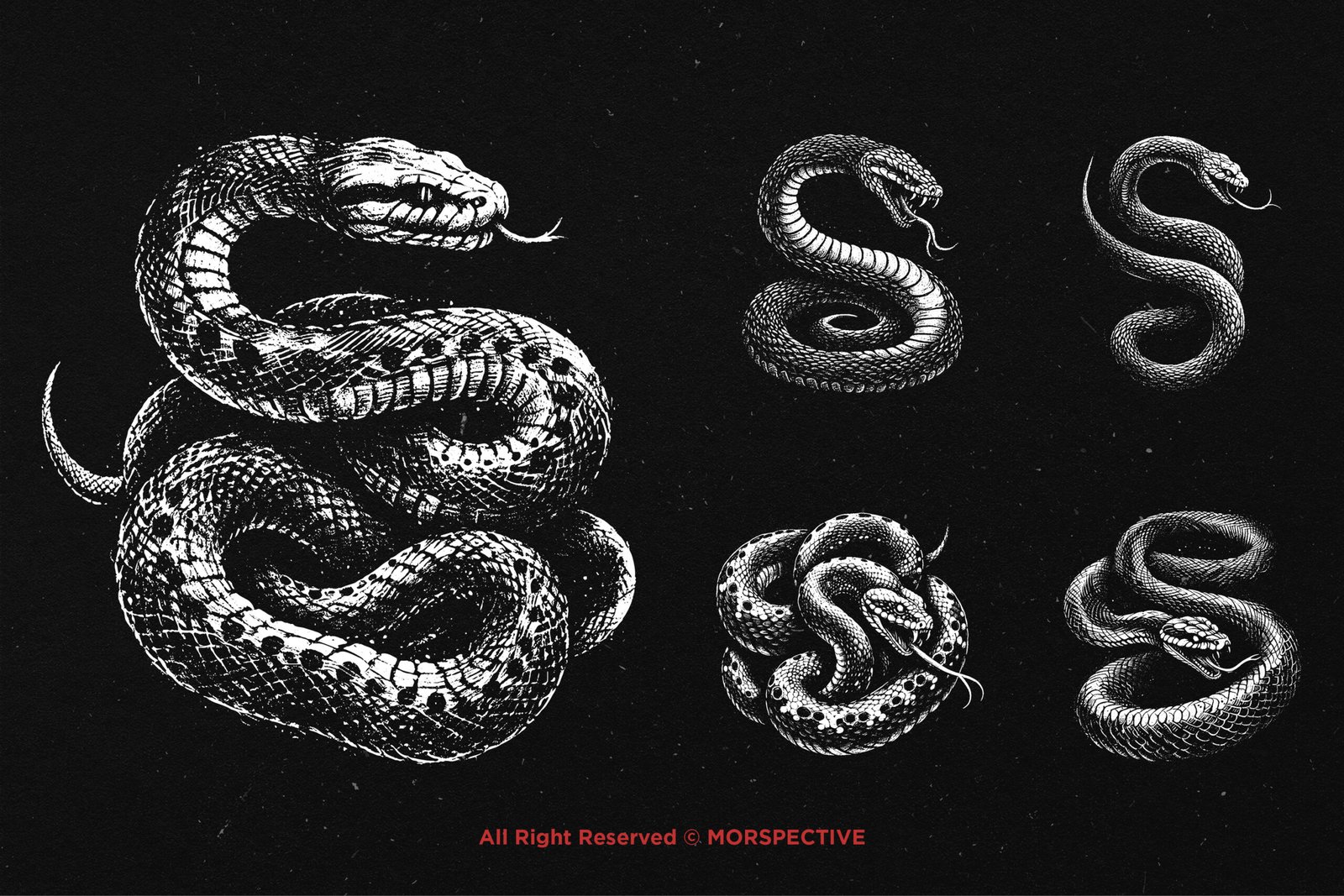 10 Bundle Dark Art Python Snake 4 10 Bundle Dark Art Python Snake - Image 4