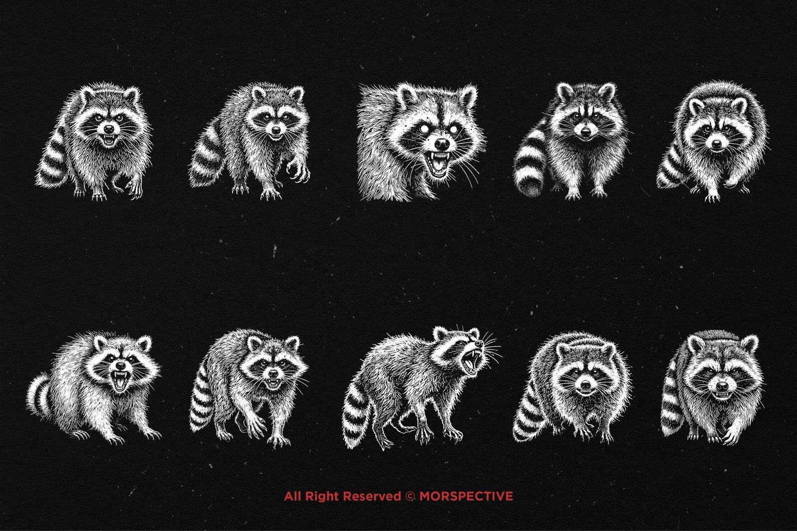 10 Bundle Dark Art Racoon 5 10 Bundle Dark Art Racoon - Image 5