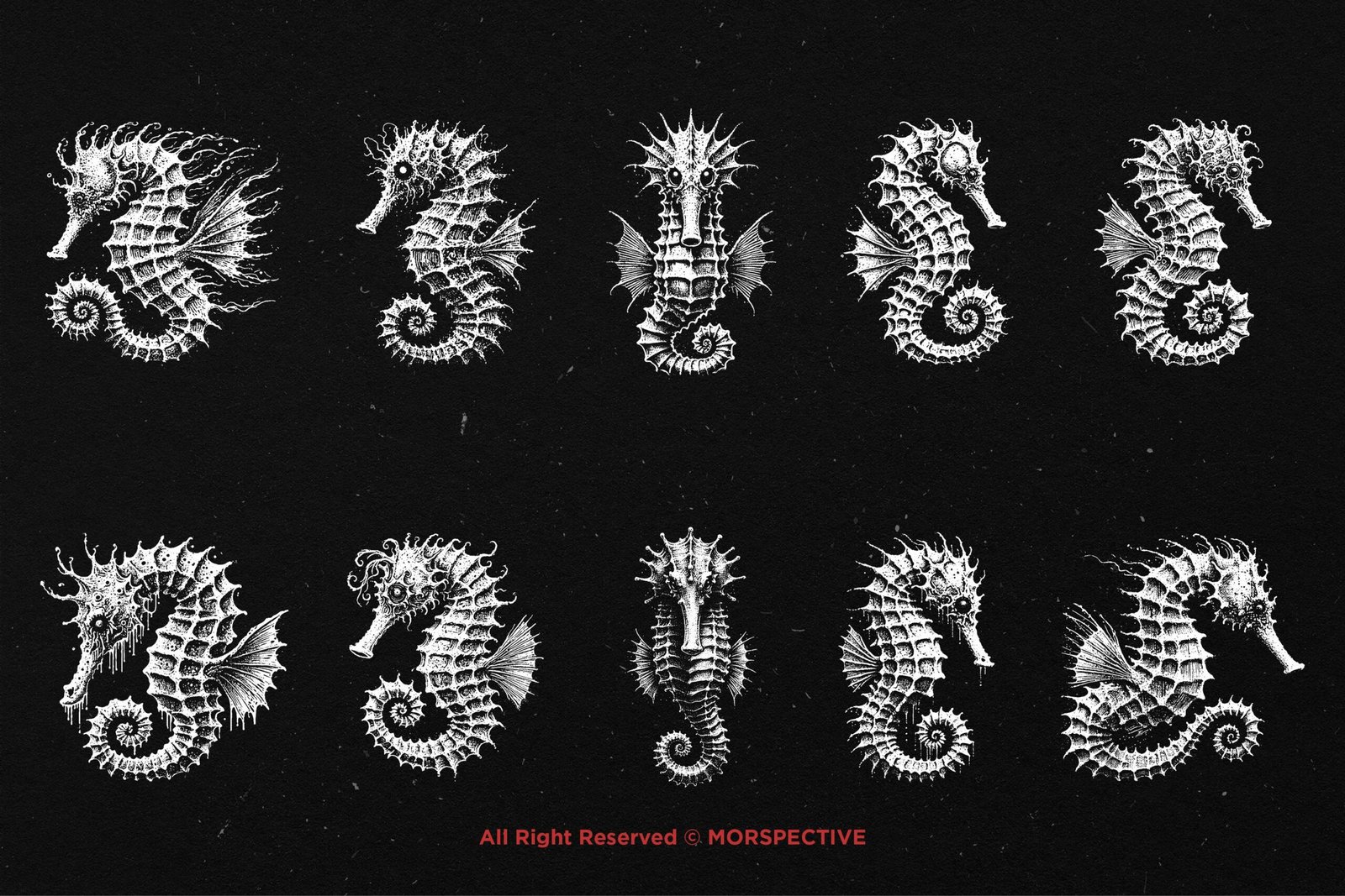 10 Bundle Dark Art Seahorse 5 10 Bundle Dark Art Seahorse - Image 5