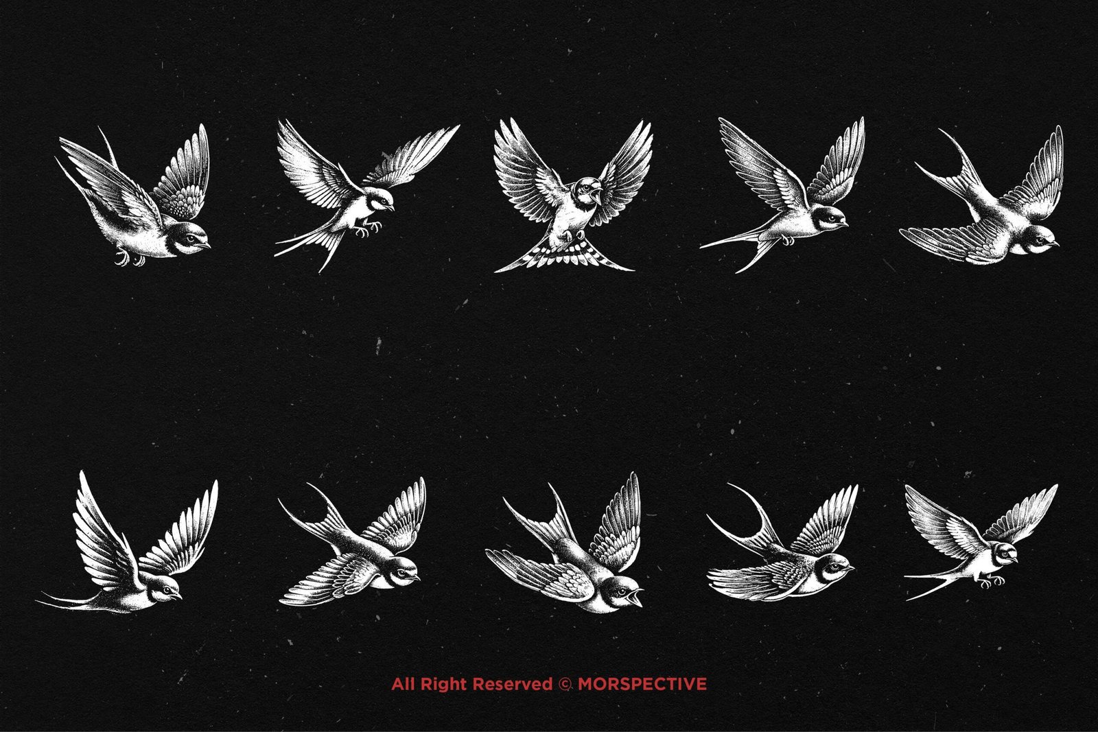10 Bundle Dark Art Swallow Bird 5 10 Bundle Dark Art Swallow Bird - Image 5