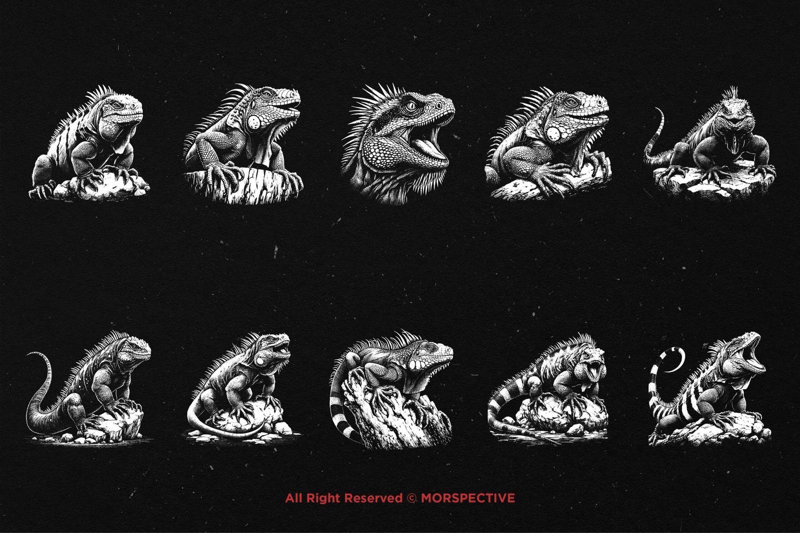 10 Bundle Dark Art Lizard Reptils 5 10 Bundle Dark Art Lizard Reptils - Image 5