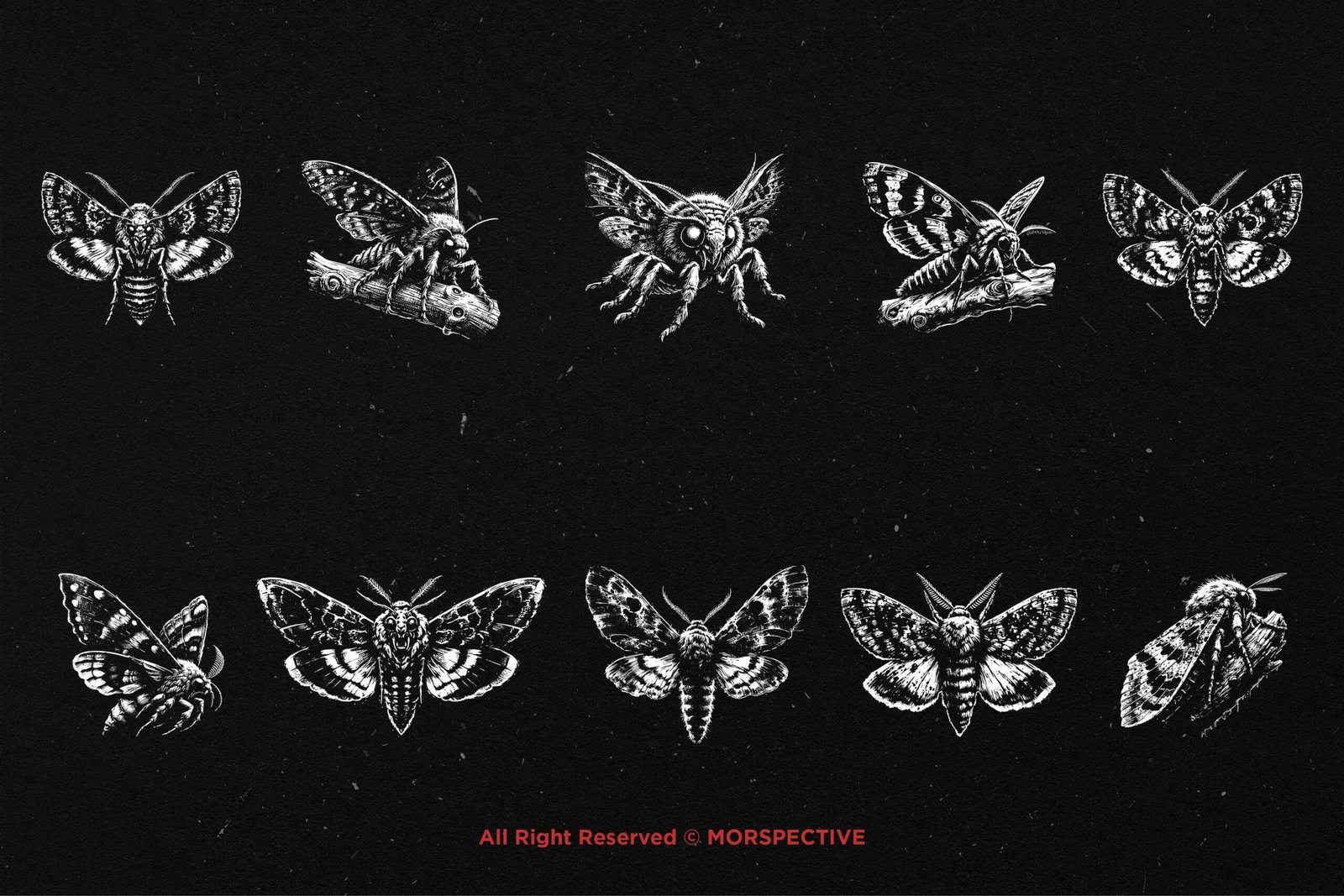 10 Bundle Dark Art Moth 5 10 Bundle Dark Art Moth - Image 5