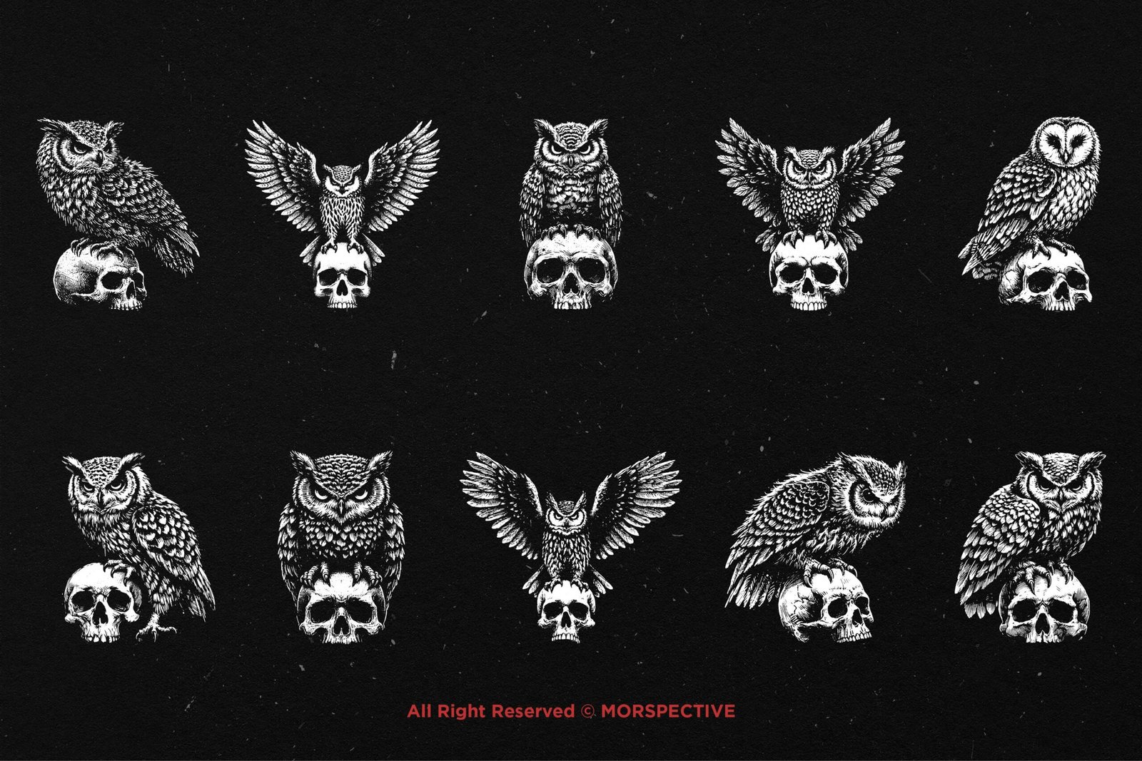 10 Bundle Dark Art Owl Bird Skull 5 10 Bundle Dark Art Owl Bird Skull - Image 5