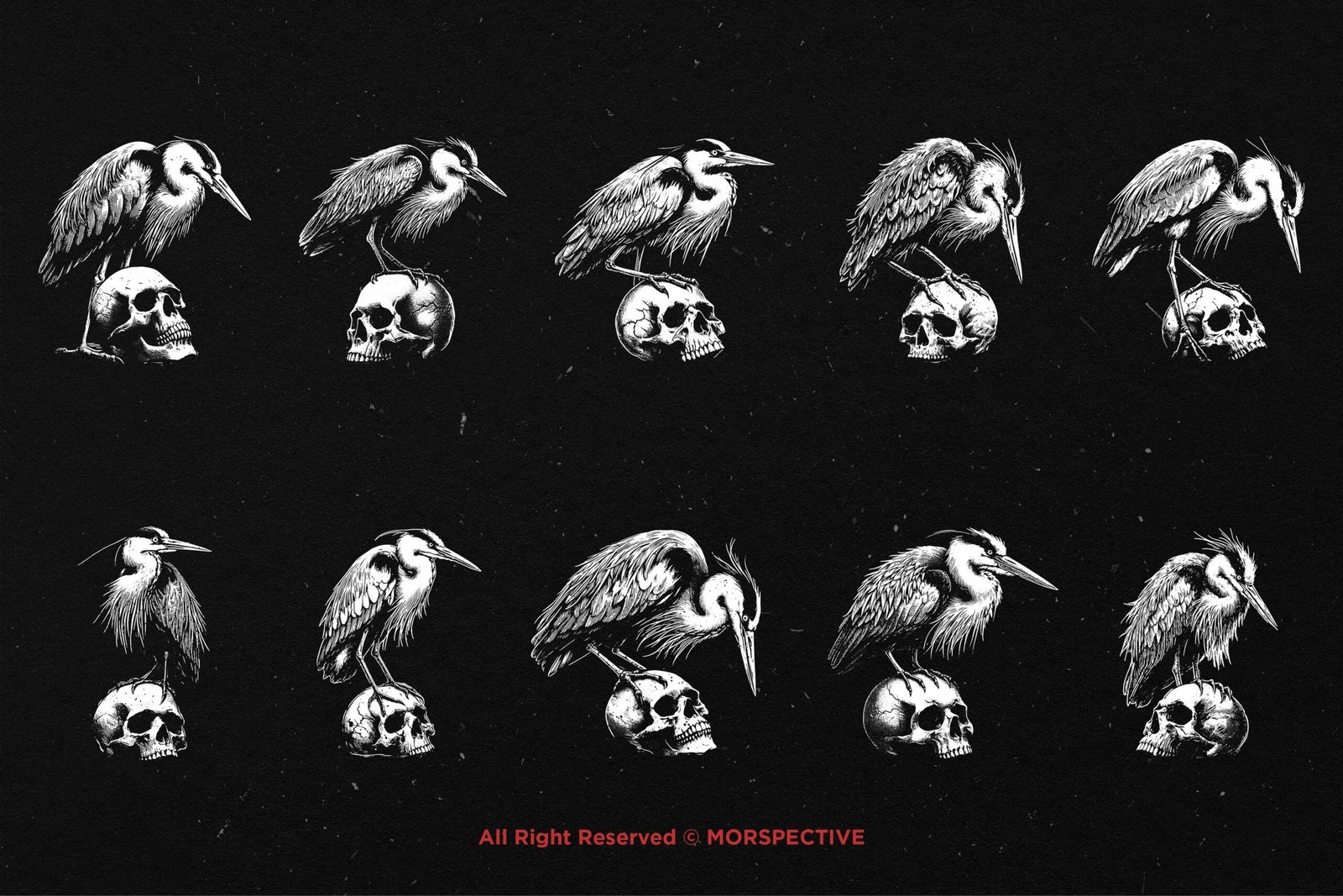 10 Bundle Dark Art Heron Bird Skull 5 10 Bundle Dark Art Heron Bird Skull - Image 5