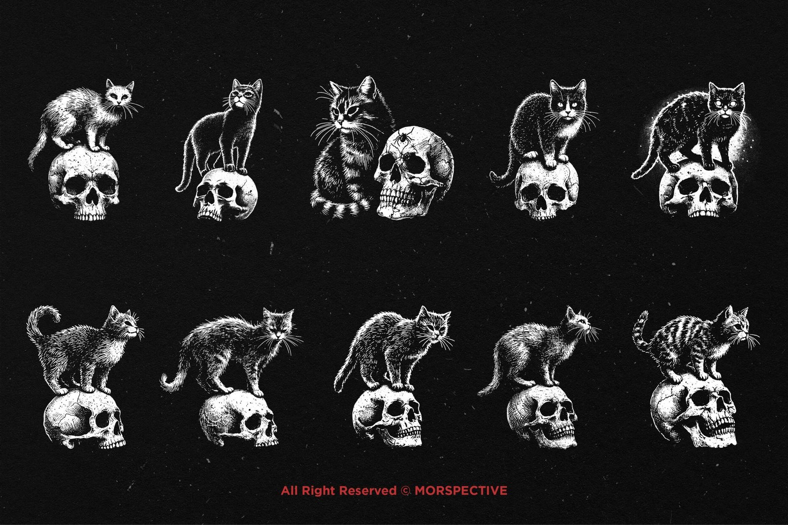 10 Bundle Dark Art Skull Cat 5 10 Bundle Dark Art Skull Cat - Image 5