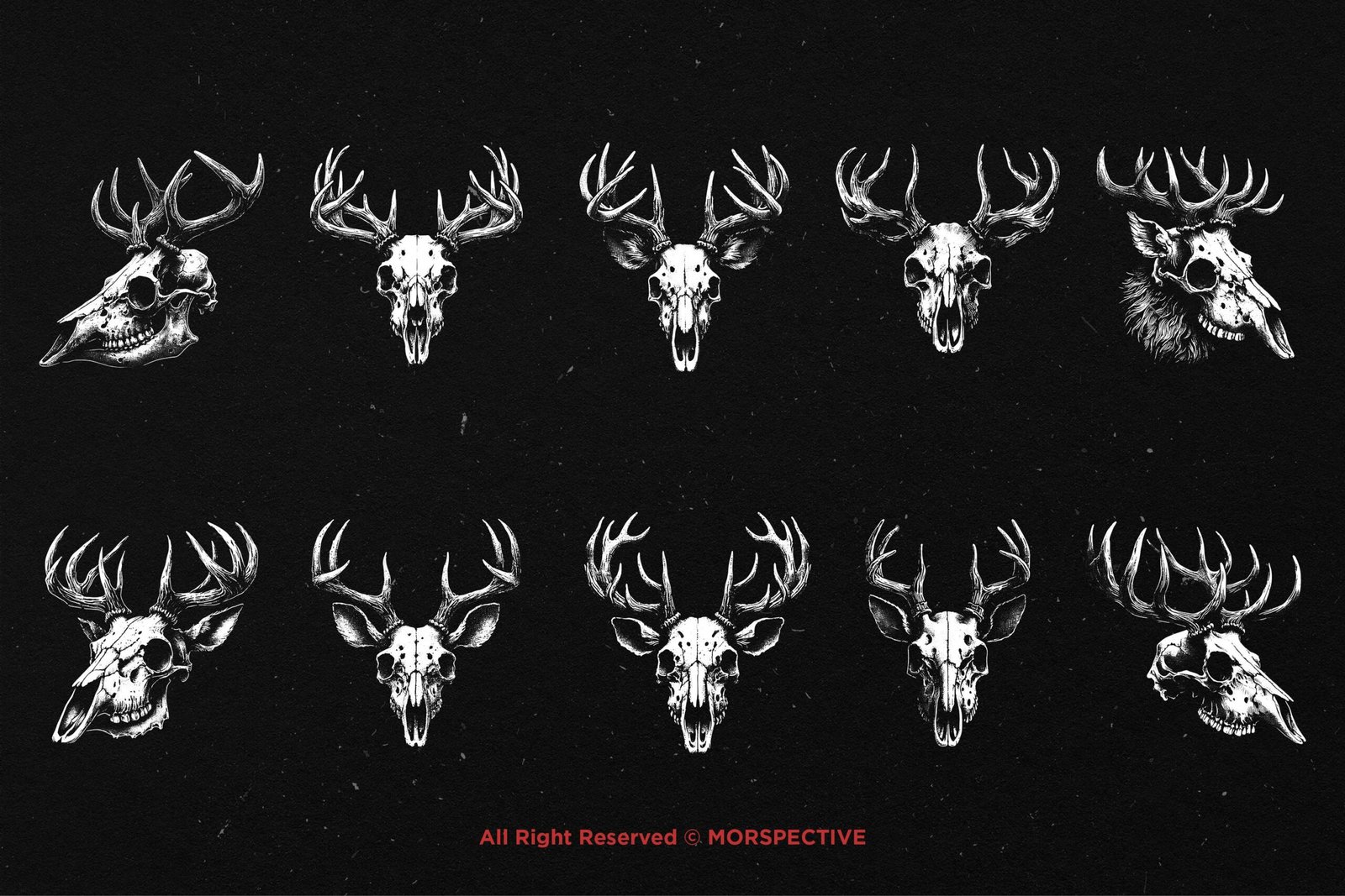 10 Bundle Dark Art Skull Deer 5 10 Bundle Dark Art Skull Deer - Image 5