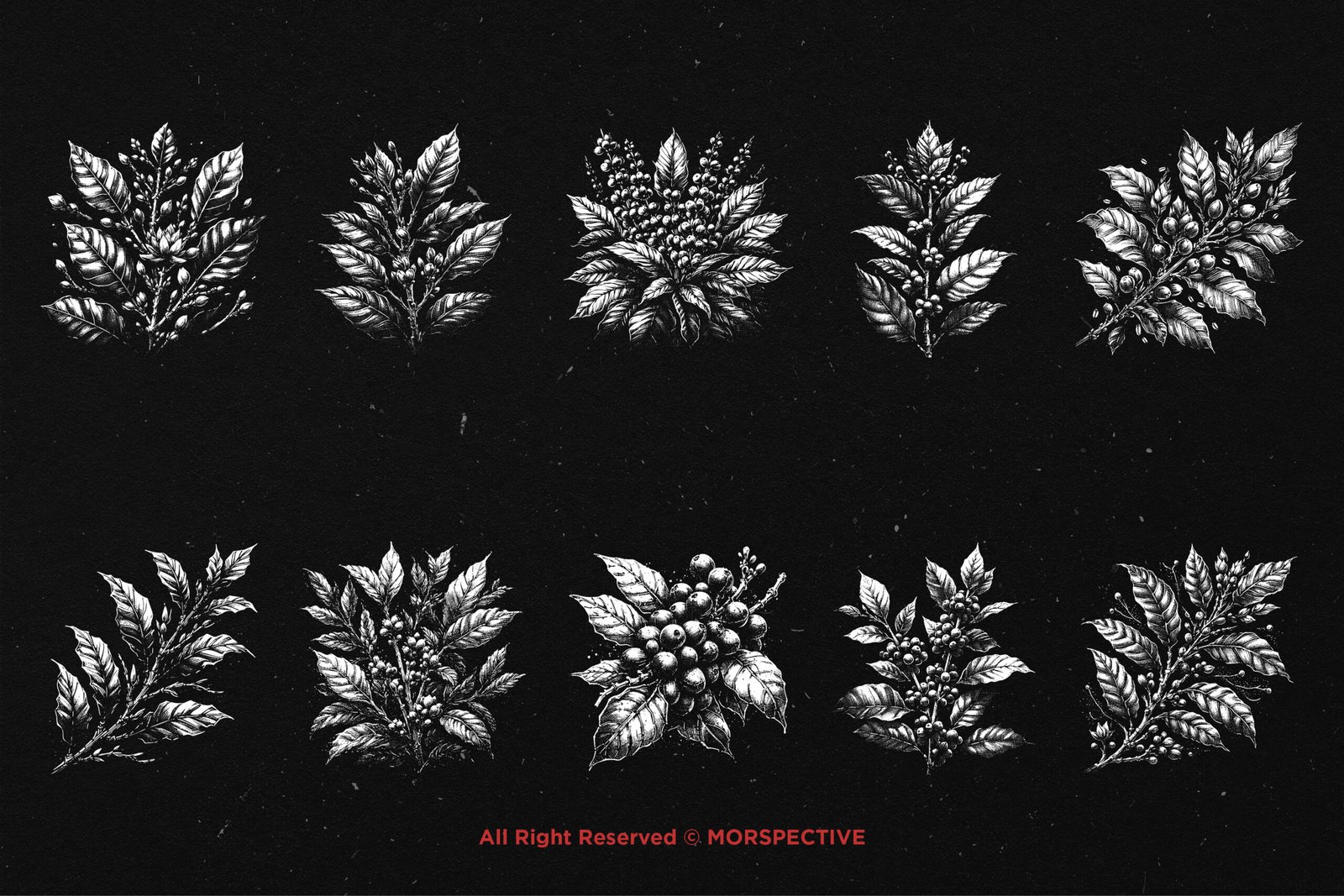 10 Bundle Dark Art Coffee Tree 5 10 Bundle Dark Art Coffee Tree - Image 5
