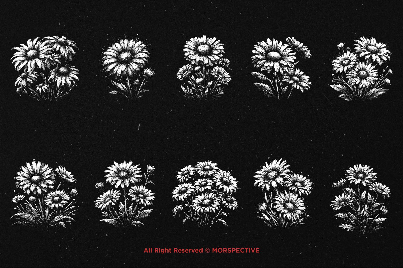 10 Bundle Dark Art Daisy Flower 5 10 Bundle Dark Art Daisy Flower - Image 5