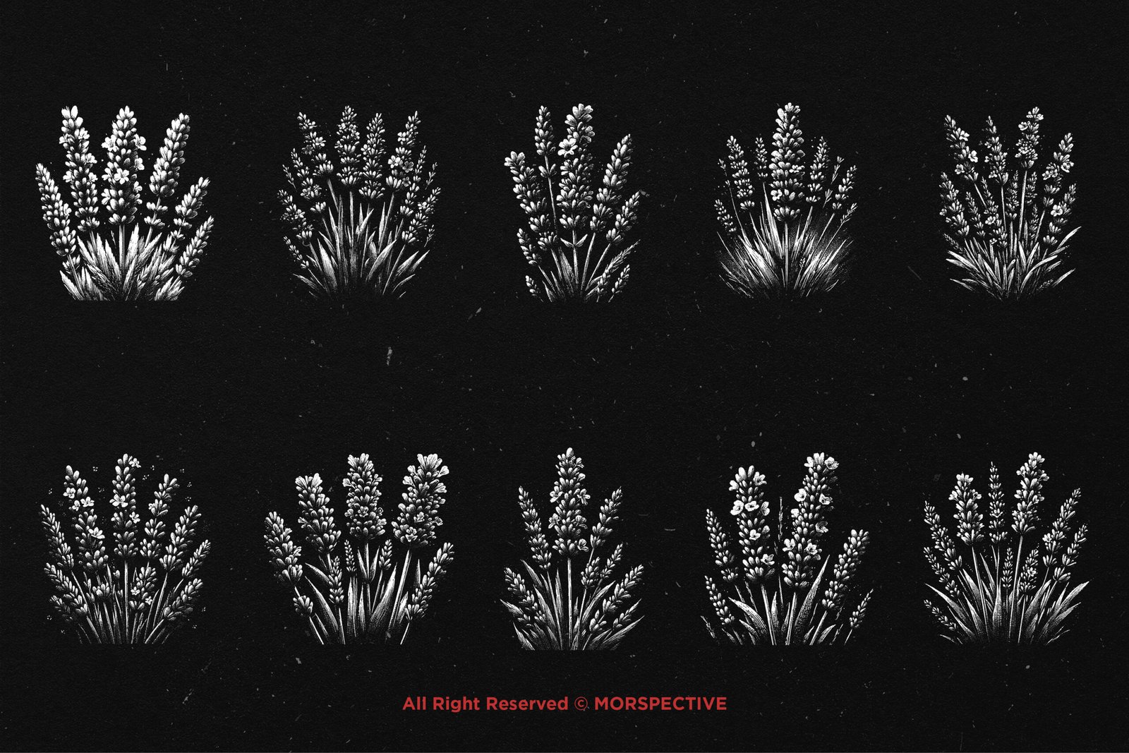 10 Bundle Dark Art Lavender Flower 5 10 Bundle Dark Art Lavender Flower - Image 5