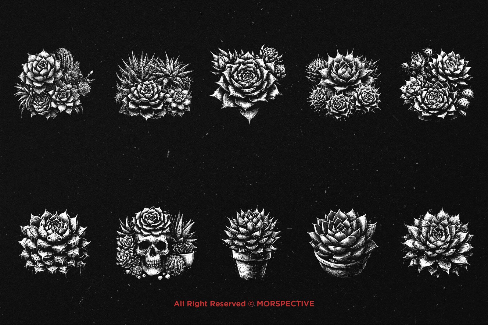 10 Bundle Dark Art Succulent Cactus 5 10 Bundle Dark Art Succulent Cactus - Image 5