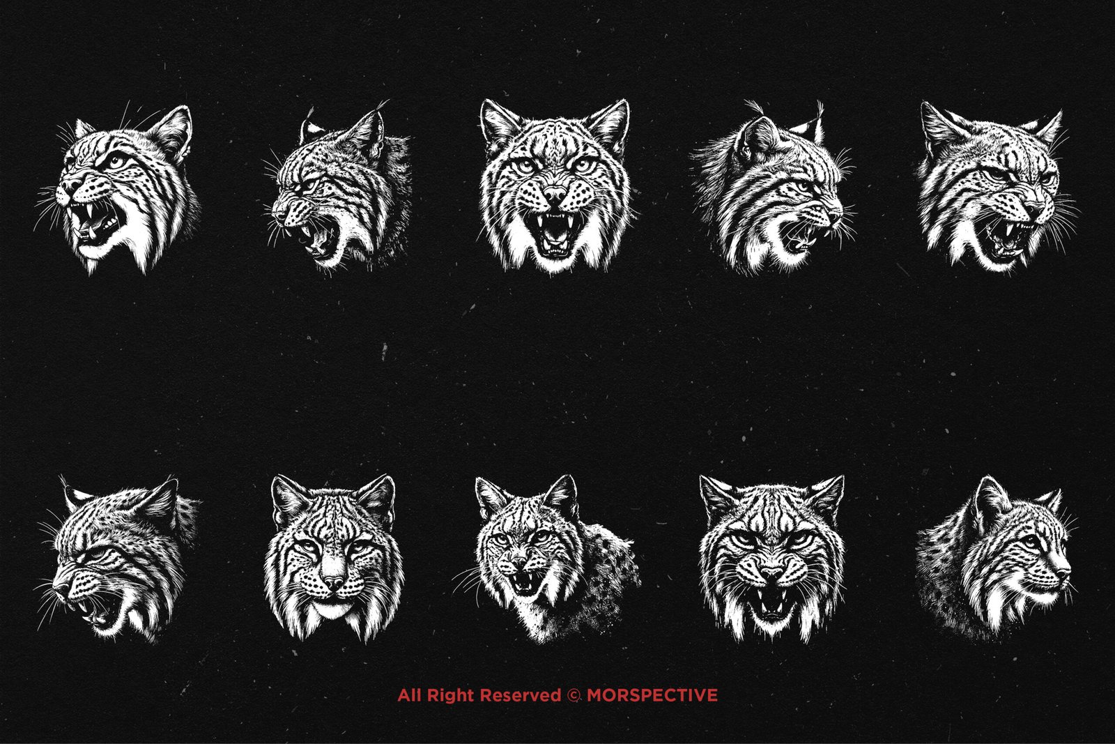 10 Bundle Dark Art Bobcat Lynx 5 10 Bundle Dark Art Bobcat Lynx - Image 5