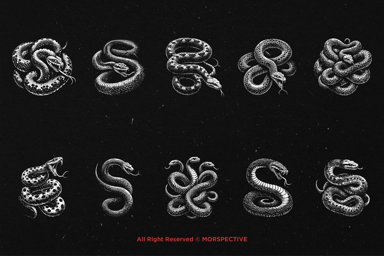 10 Bundle Dark Art Python Snake 5 10 Bundle Dark Art Python Snake - Image 5