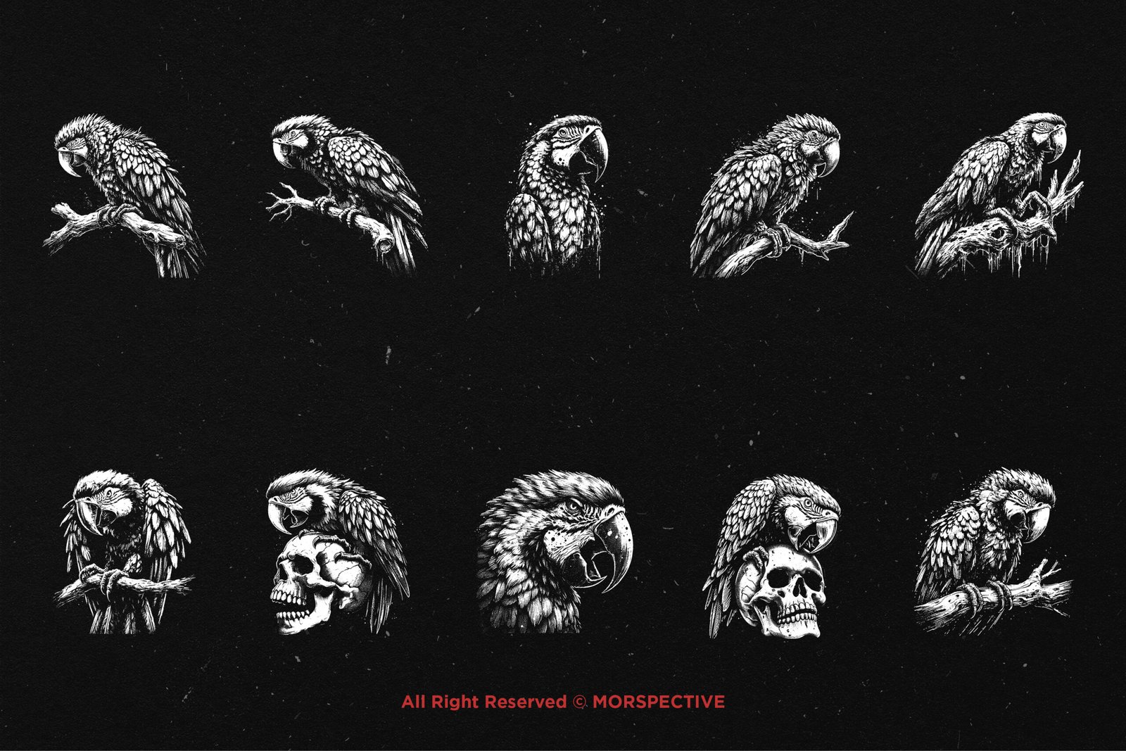 10 Bundle Dark Art Macaw Bird 5 10 Bundle Dark Art Macaw Bird - Image 5