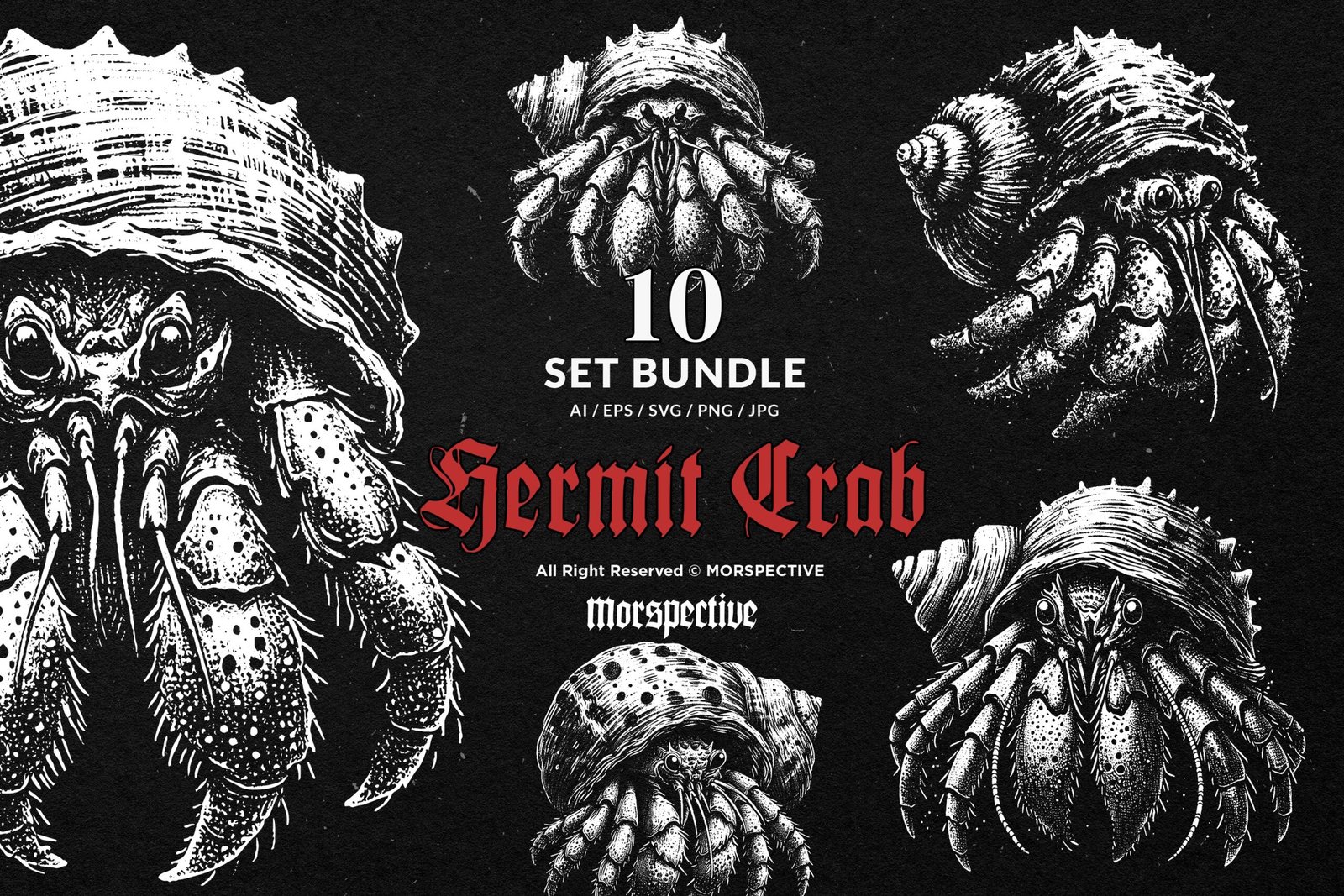 10 Bundle Dark Art Hermit Crab 1 10 Bundle Dark Art Hermit Crab