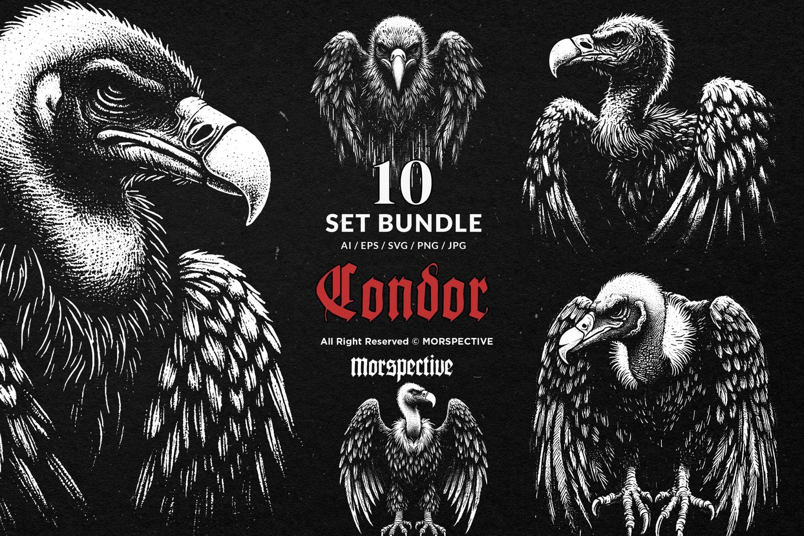 10 Bundle Dark Art Condor Bird 1 10 Bundle Dark Art Condor Bird