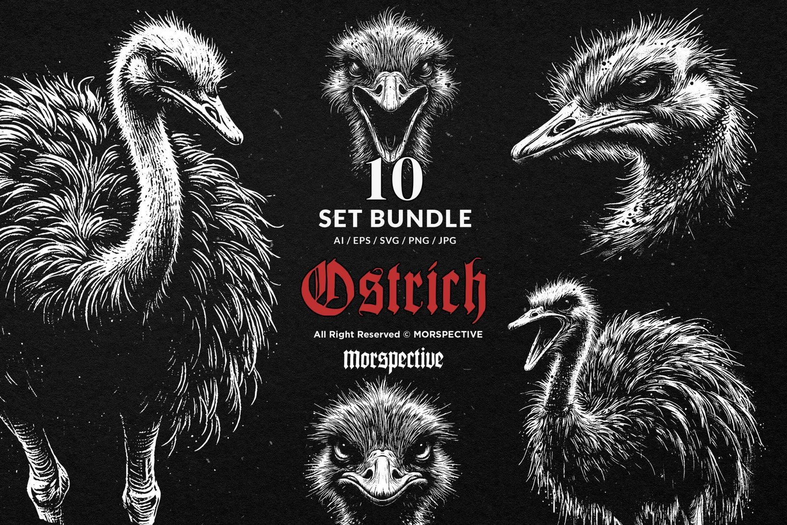 10 Bundle Dark Art Ostrich 1 10 Bundle Dark Art Ostrich