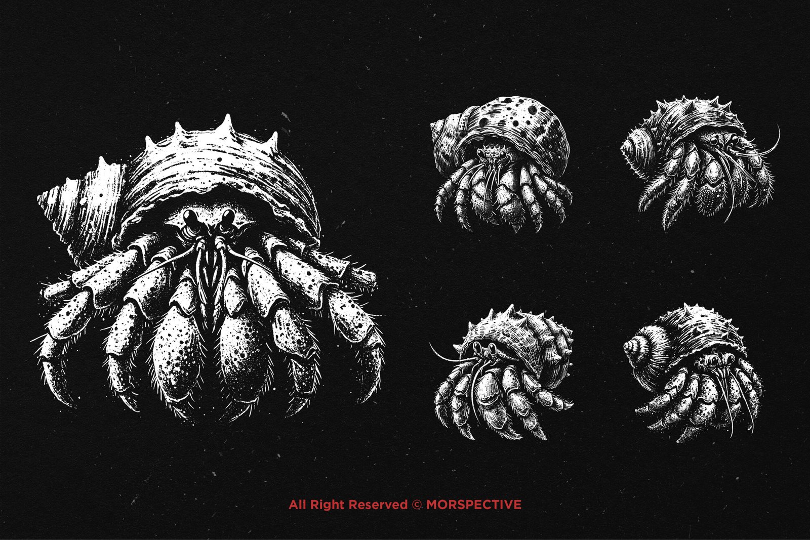10 Bundle Dark Art Hermit Crab 3 10 Bundle Dark Art Hermit Crab - Image 3