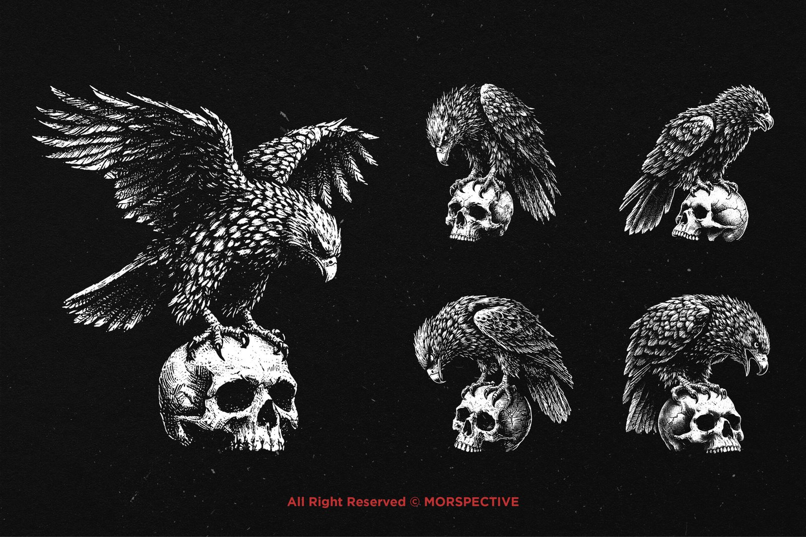 10 Bundle Dark Art Hawk Skull 3 10 Bundle Dark Art Hawk Skull - Image 3