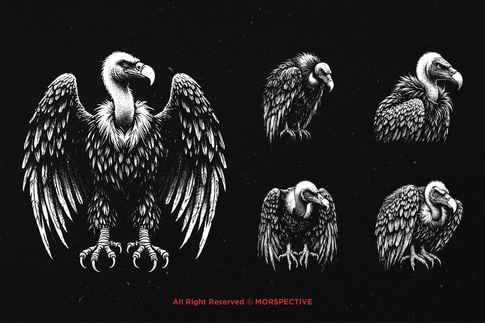 10 Bundle Dark Art Condor Bird 3 10 Bundle Dark Art Condor Bird - Image 3