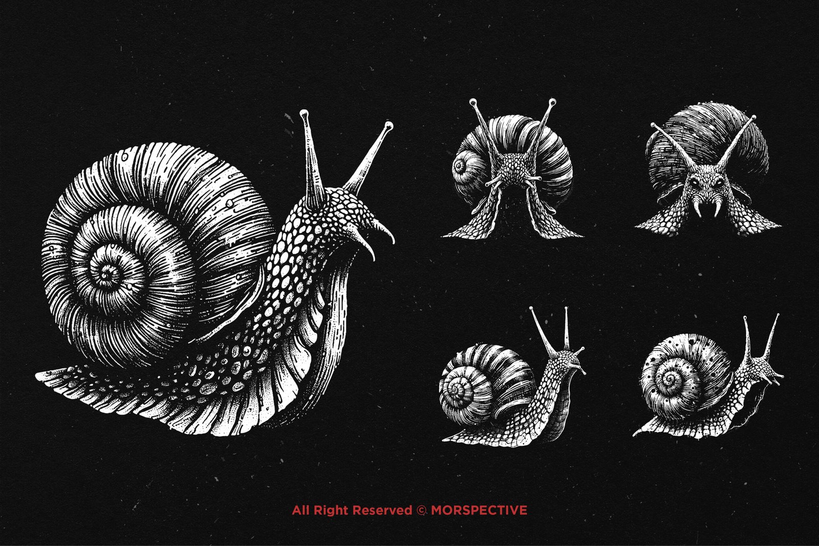 10 Bundle Dark Art Snail 3 10 Bundle Dark Art Snail - Image 3