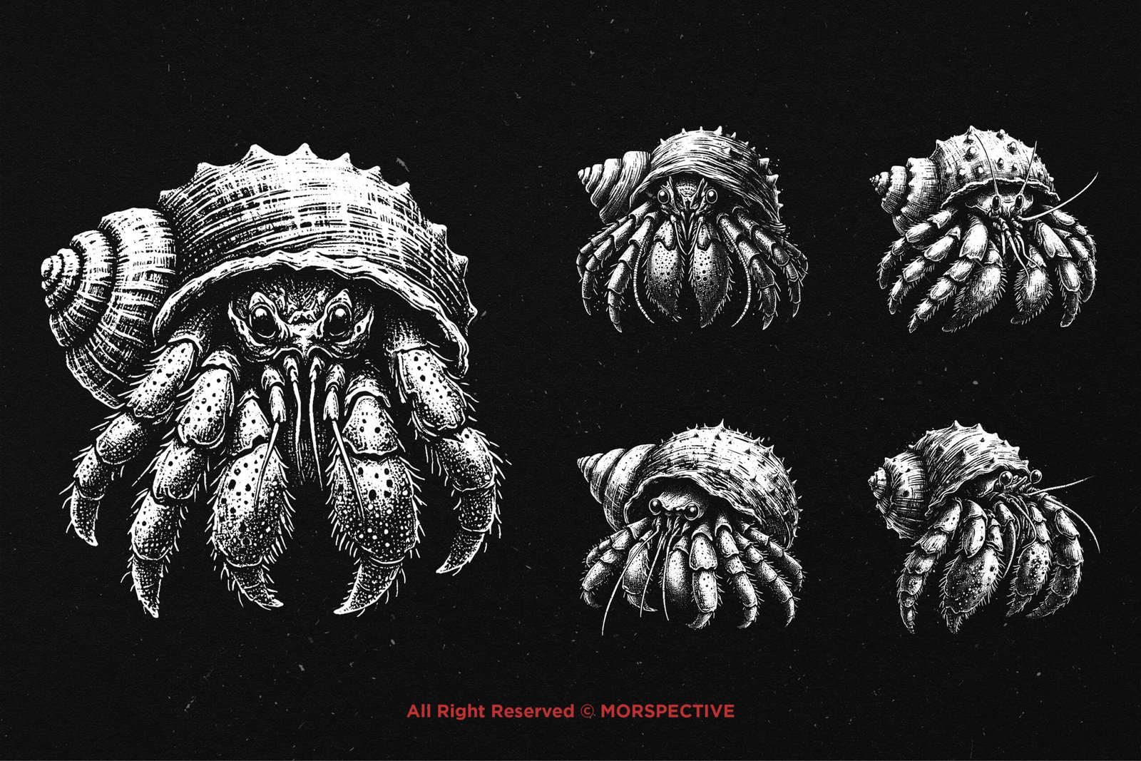 10 Bundle Dark Art Hermit Crab 4 10 Bundle Dark Art Hermit Crab - Image 4