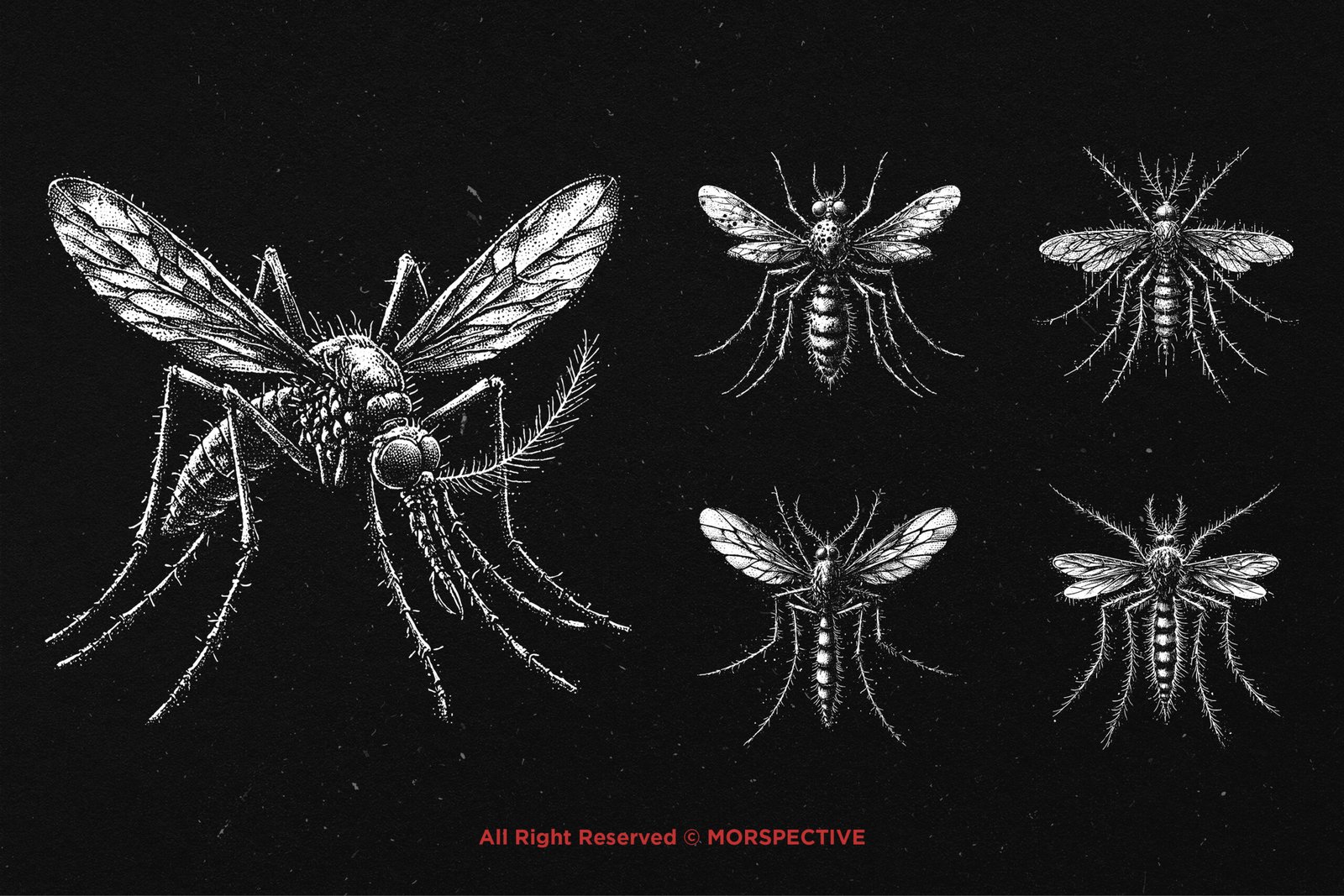 10 Bundle Dark Art Mosquito 4 10 Bundle Dark Art Mosquito - Image 4