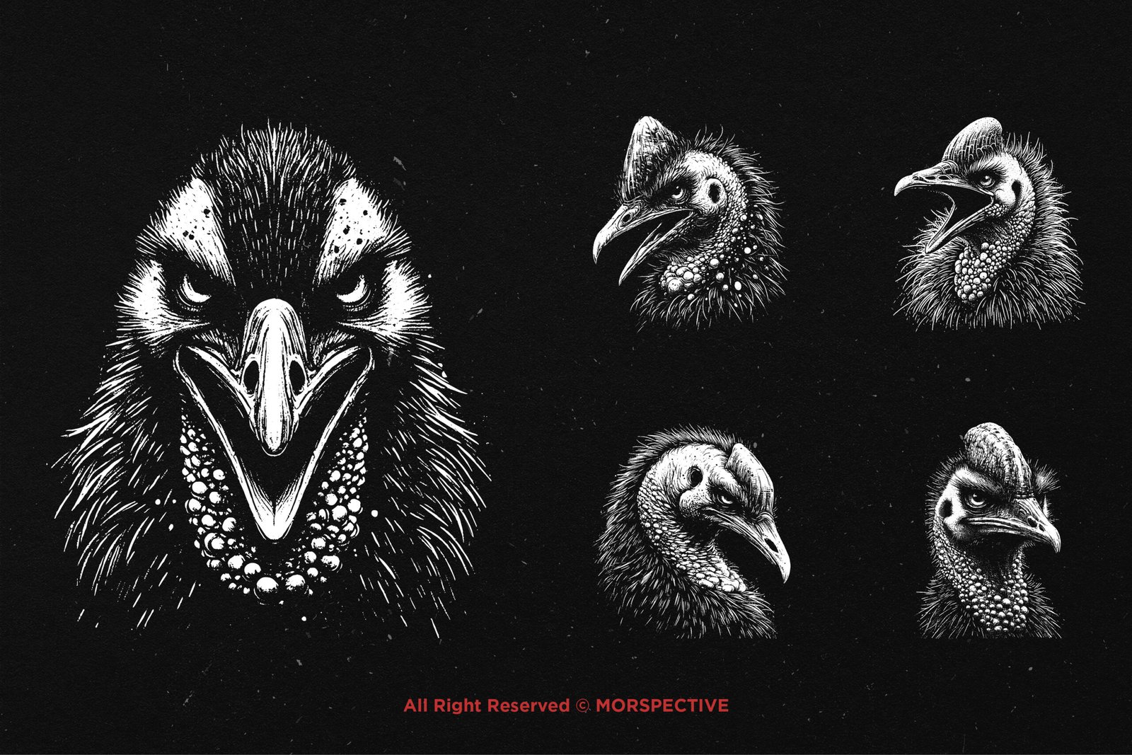 10 Bundle Dark Art Cassowary Bird 4 10 Bundle Dark Art Cassowary Bird - Image 4