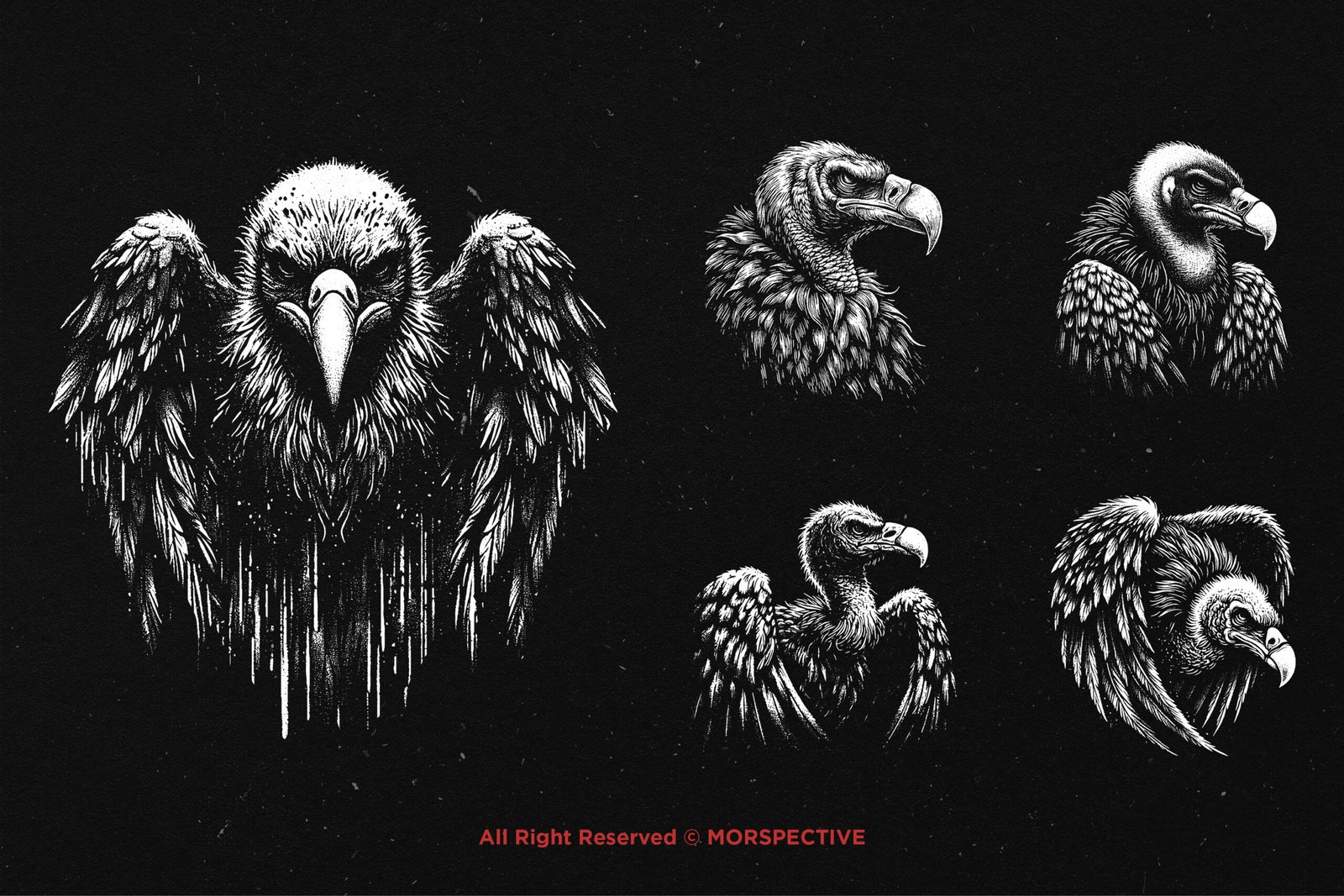 10 Bundle Dark Art Condor Bird 4 10 Bundle Dark Art Condor Bird - Image 4