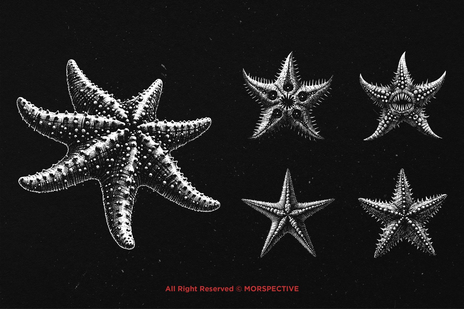 10 Bundle Dark Art Starfish 4 10 Bundle Dark Art Starfish - Image 4