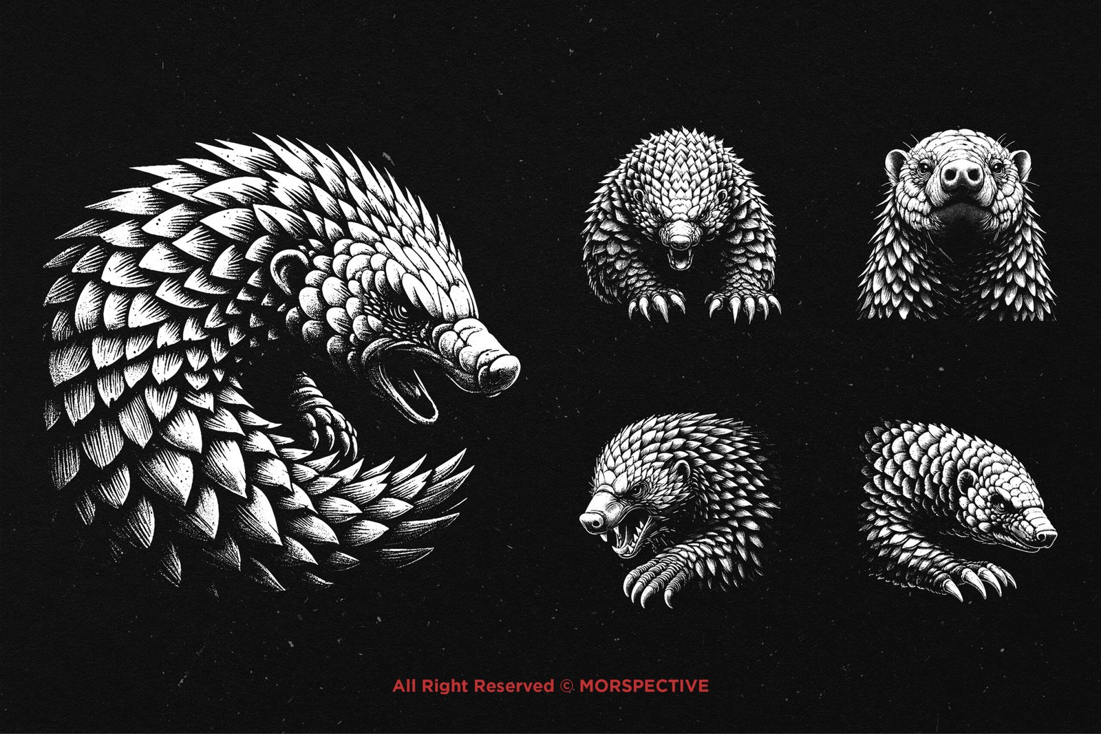 10 Bundle Dark Art Pangolin Armadillo 4 10 Bundle Dark Art Pangolin Armadillo - Image 4