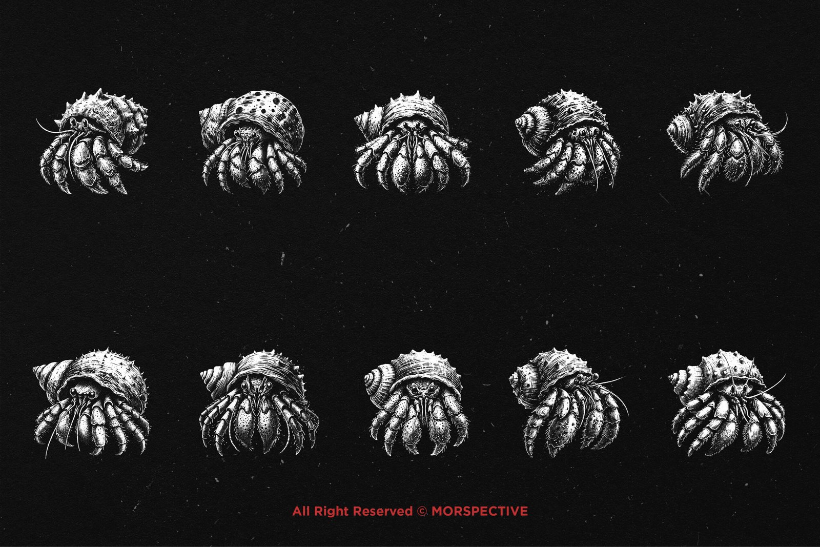 10 Bundle Dark Art Hermit Crab 5 10 Bundle Dark Art Hermit Crab - Image 5