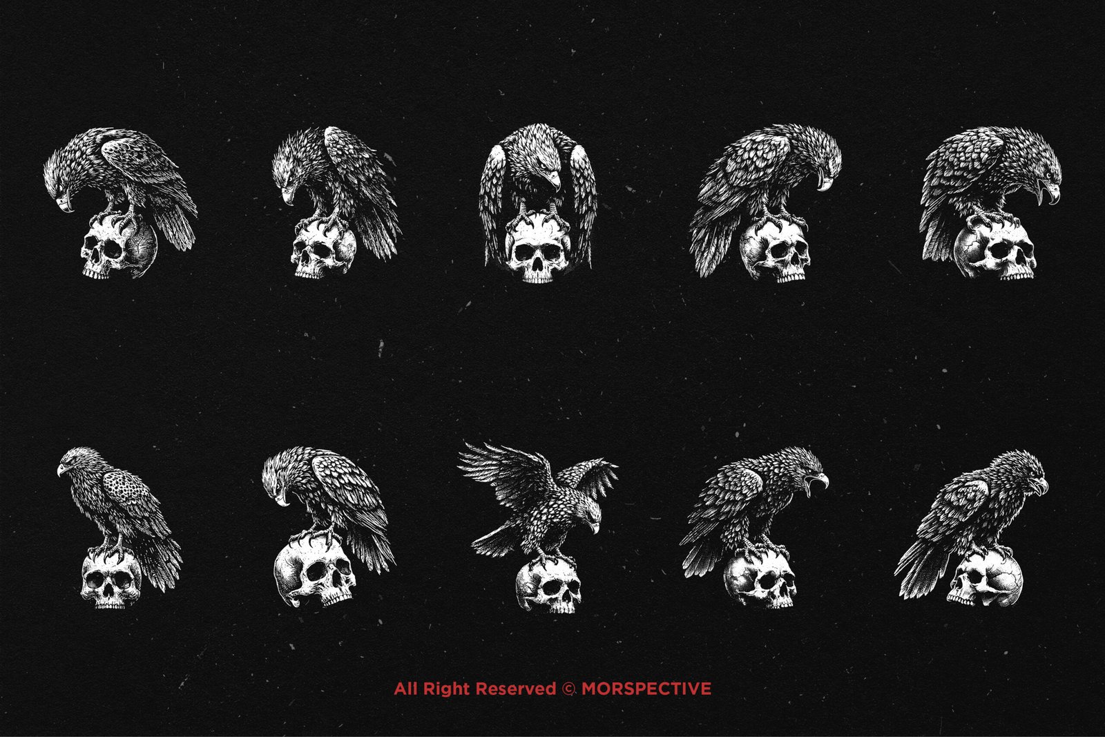 10 Bundle Dark Art Hawk Skull 5 10 Bundle Dark Art Hawk Skull - Image 5