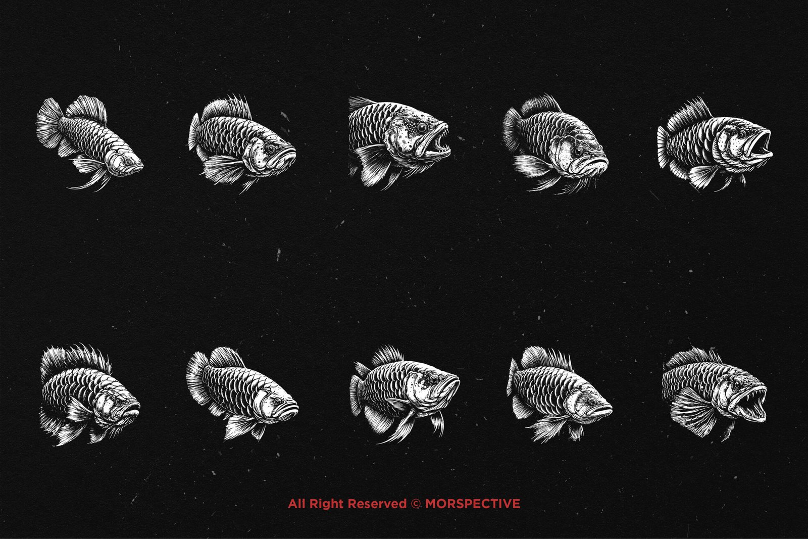10 Bundle Dark Art Arowana Fish 5 10 Bundle Dark Art Arowana Fish - Image 5