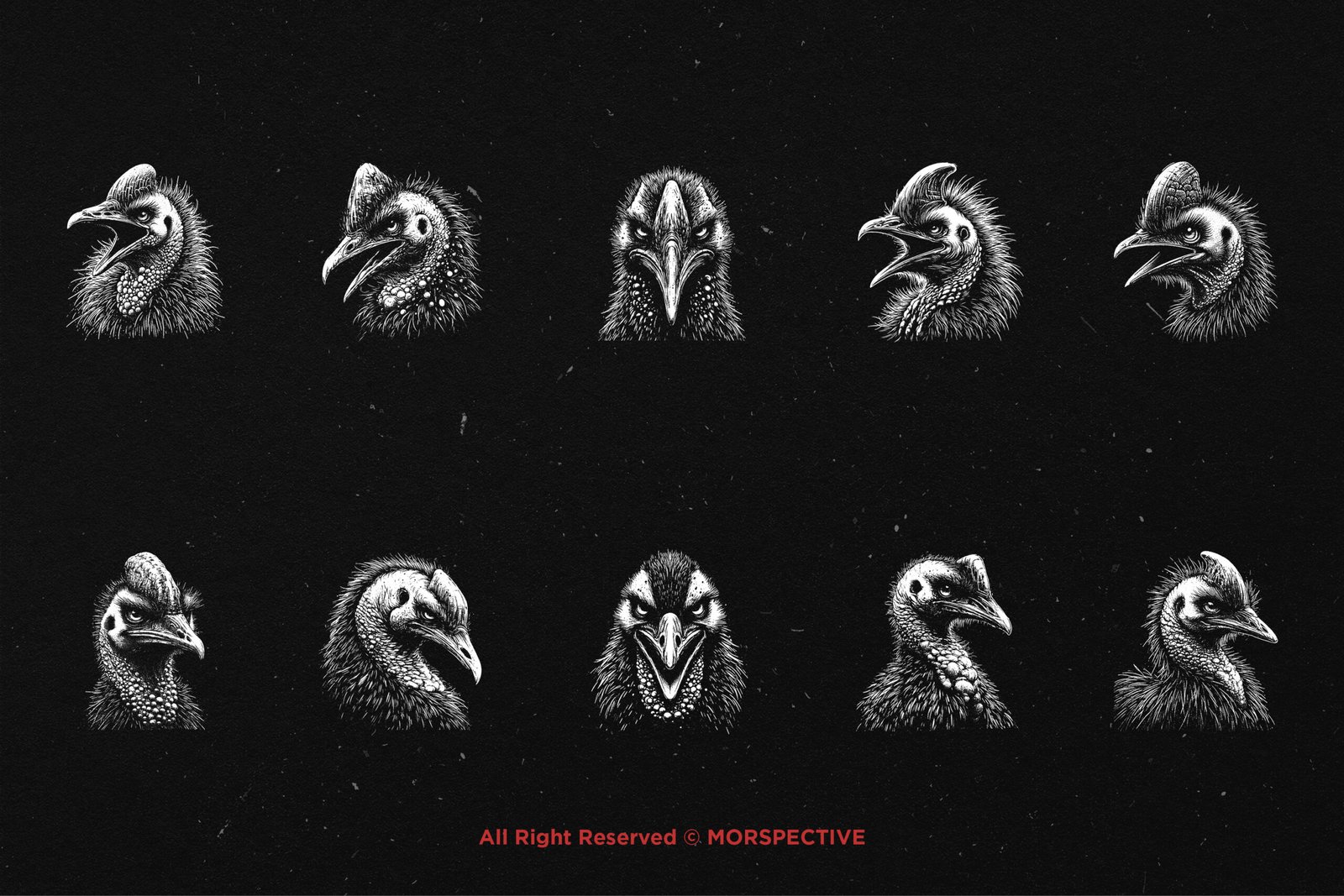 10 Bundle Dark Art Cassowary Bird 5 10 Bundle Dark Art Cassowary Bird - Image 5