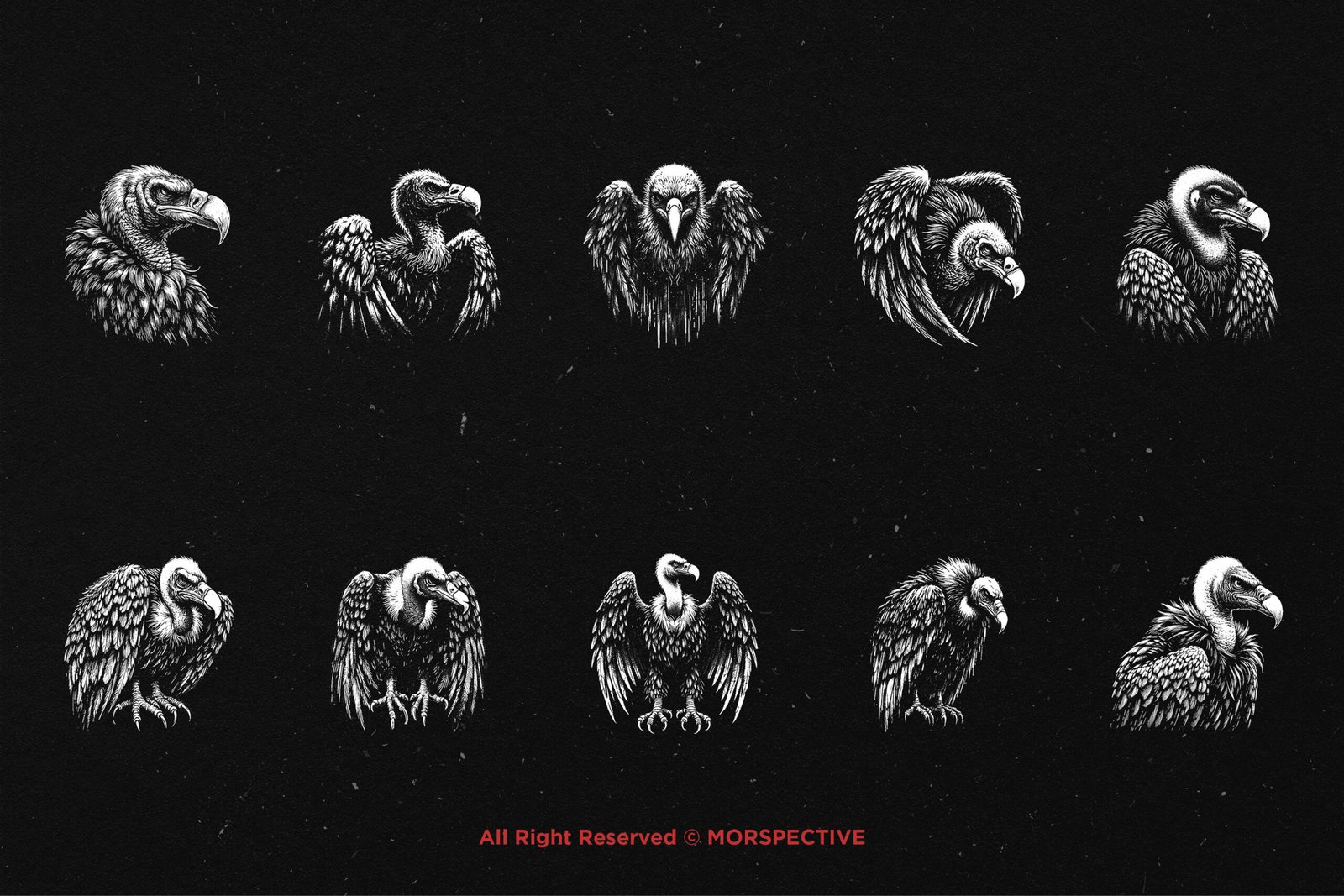 10 Bundle Dark Art Condor Bird 5 10 Bundle Dark Art Condor Bird - Image 5
