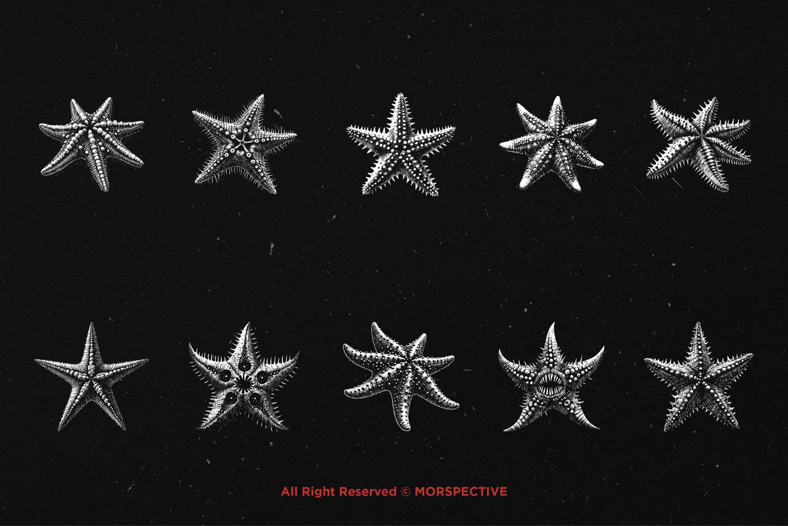 10 Bundle Dark Art Starfish 5 10 Bundle Dark Art Starfish - Image 5